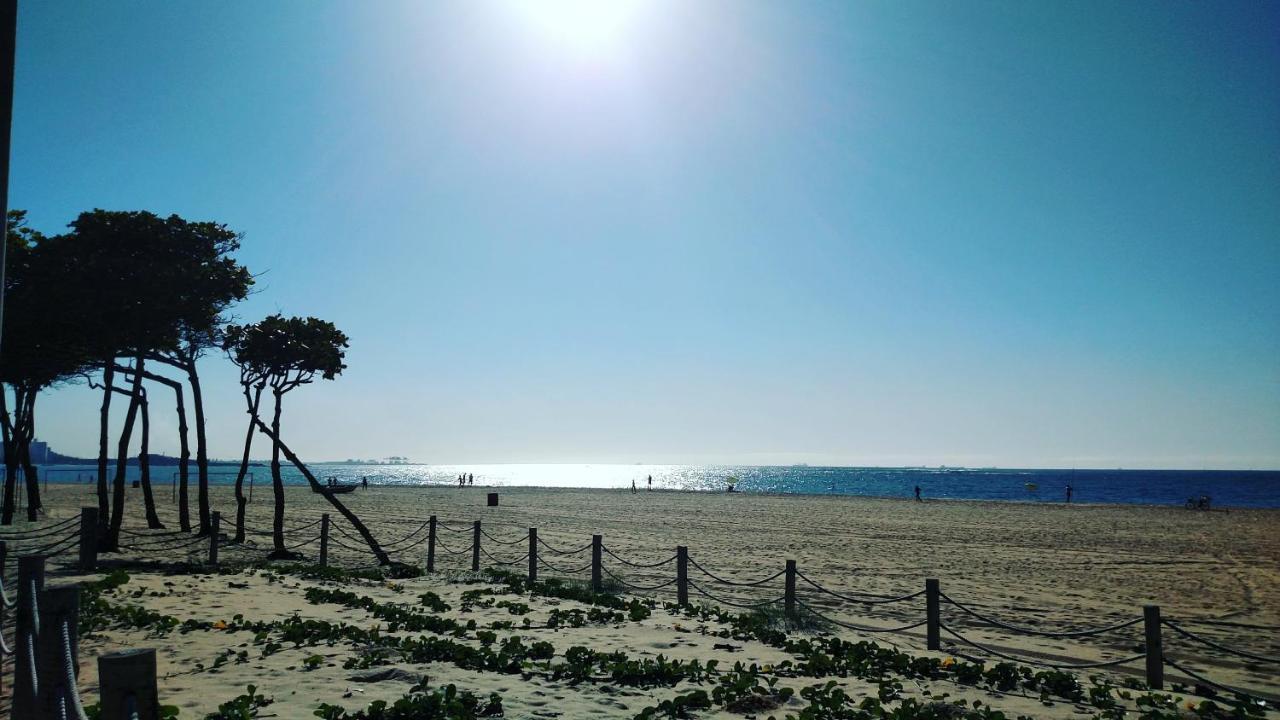 Flat Pasargada 812, Free Bikes, Pe Na Praia Вила-Велья Экстерьер фото